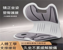 護腰坐墊